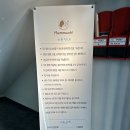 멈무아 | [부산] 다대포 근처 넓은 실내 애견카페(+루프탑) &#39;멈무아&#39; 후기