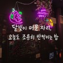 달빛카페24 - 동래구 명장동 | 해방촌 24시간 감성 디저트 카페 후기. 달빛흘러간 자리. 강아지까페