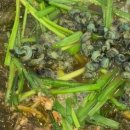 집밥셀프식당 이미지