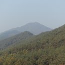 망산(377.6m).마이봉(403m).사태봉(458m).복화산(353.8m)/강원 영월 주천면 이미지