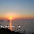 담아볼래
