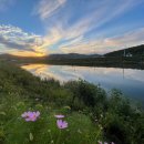 스피드행정사사무소 이미지