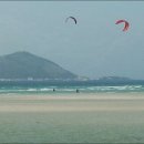 제주도 독채펜션, 내안에 제주 Jeju within
