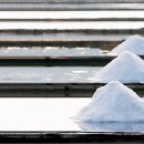 빛과 소금 이미지