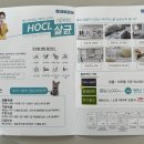 침대토피아서울