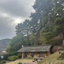 꽃피는언덕 | 청주 낭성 &#39;꽃피는 언덕&#39; 집밥보다 맛있었던 닭볶음탕(토종닭) 먹고 온 후기