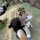예진푸드 | 장마에서~ 누가돌아왔게~!