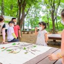 계남 유아숲체험원 이미지