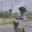 김군아미고 민박 이미지