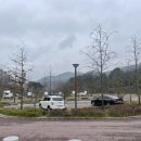 세종동_전월산 무궁화 테마공원 이미지