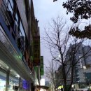 명보인쇄사 | [을지로인쇄소,을지로메뉴판인쇄] 대형실사출력 잘하는곳 프로카피