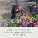 마라도생굴구이 네이버블로그
