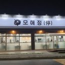 모해정