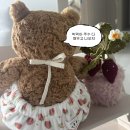 드라이데이효자점 | 🍔임신 33주차-34주차 기록: 이번엔 조산위기?😢자궁경부 길이 짧아짐…🛌그리고 조기수축/조기진통으로...