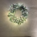 메리도그하우스2 이미지