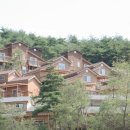 횡성 숙소 추천, 자연 속에서 즐기는 힐링 여행 &#39;현대수리조트(제너두파크)&#39;