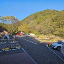 성수산 왕의숲 국민여가캠핑장 이미지