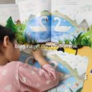 백조농장(2) 이미지