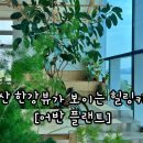 용산-이촌-496 이미지