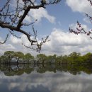 반곡저수지 이미지