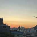 도요(DOYO) 네이버블로그