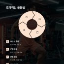 신호 이미지
