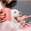 은계동물병원 이미지