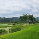 베네치아컨트리클럽 이미지