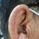 시그니아독일보청기대구북구센터 이미지