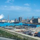 덕진G마트 이미지