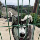 이호1820게스트하우스 | 이호 1820 게스트하우스, 제주 게스트하우스 추천