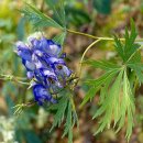 부자축산 이미지