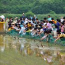 마을오리 이미지