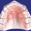 서울메이플치과교정과치과의원 이미지