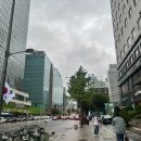 팔도한양족발 | 역삼 족발 맛집 별족발, 눈과 입이 즐거운 환상의 마늘족발 후기 ✨