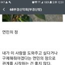 연민의 정으로 시작되는 관계는ᆢ 이미지