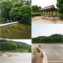 영주 소수서원 | 경북 영주 가볼만한곳 소수서원 무섬마을 무섬외나무다리 여행