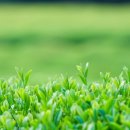 조현우정신건강의학과의원 이미지