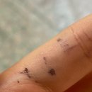 스토어가호 | JLORIA 즐로리아 반지 데일리 반지 내돈내산 리뷰 후기 : FIDES TENUE RING 가호