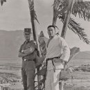 백마태권도 이미지