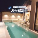 사누르 제주 이미지