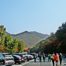 소요산 Daum카페