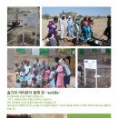 쏠크