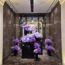 퀸즈헤어 | 조선 팰리스 마스터스 퀸즈 + 사우나, 피트니스 후기