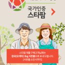 스타팜
