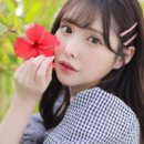 아리나