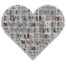 한국체대 온빛태권도장 이미지