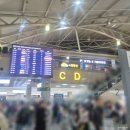 (명)스카이여행사 | 티비 홈쇼핑 동남아 패키지 노랑투어 세부 3박5일 후기 1편(출국 ~ 2일차)