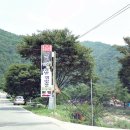내리솔밭캠핑장 이미지