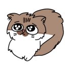 심쿵하냥 이미지